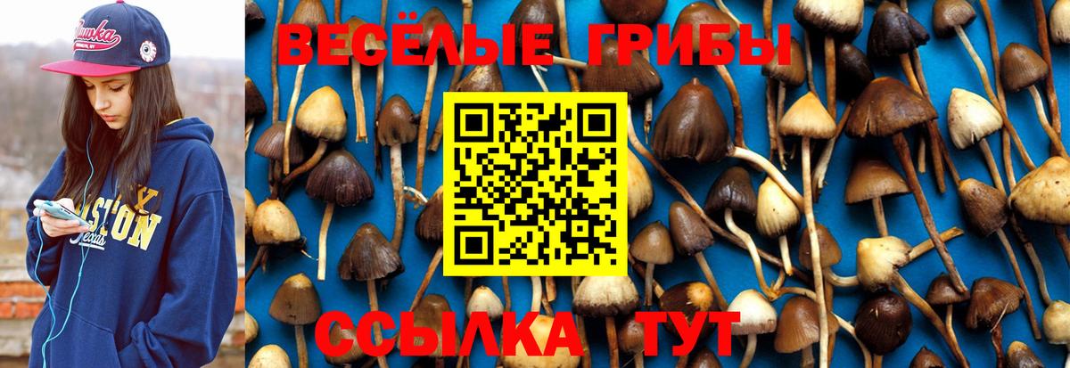 Галлюциногенные грибы GOLDEN TEACHER Сочи